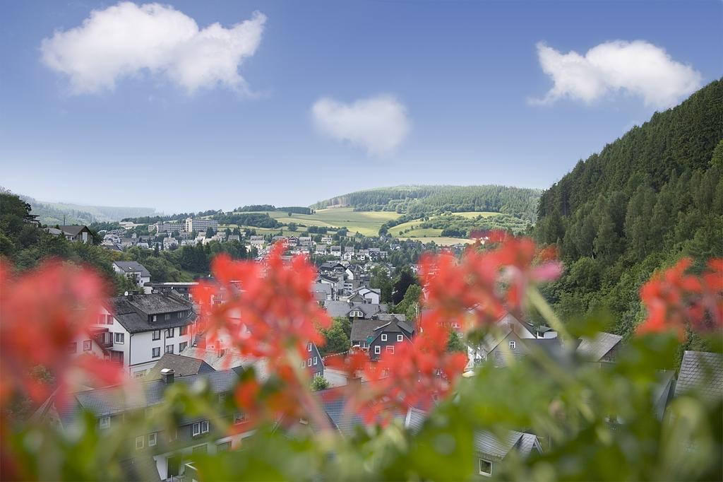 Ferienwohnung Café Alt Willingen Zimmer foto